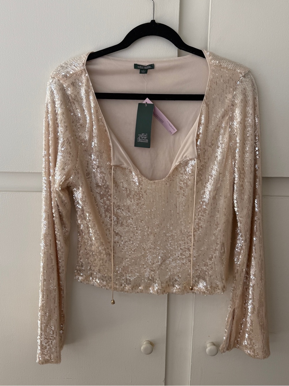 Sequin V-Neck tie at chest Long Sleeve Top - Champagne
